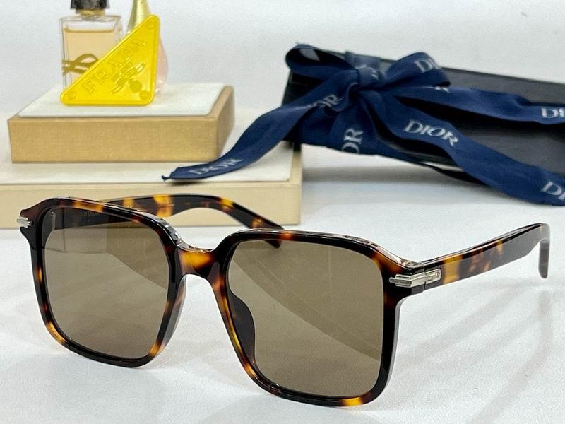 DIOR Sunglasses 350